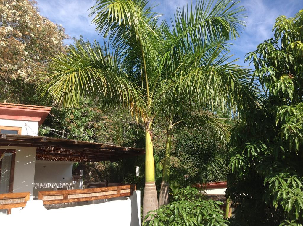 Casa Flor De Mar Hotel Zipolite Exterior photo